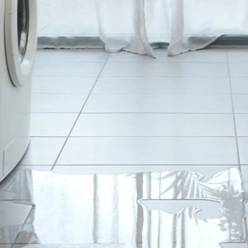 Appliance Leak Cleanup in Anchorage, AK